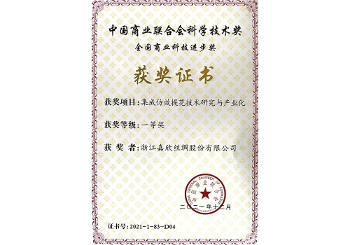 集成仿效提花技術(shù)-中國商業(yè)聯(lián)合會(huì)一等獎(jiǎng)